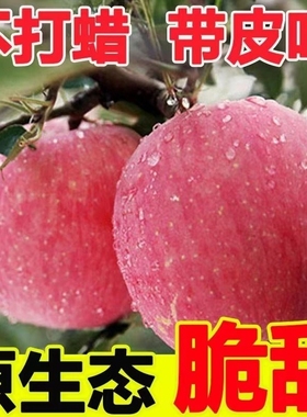 陕西当季水果红富士新鲜苹果脆甜冰糖心丑苹果整箱5斤特价批发