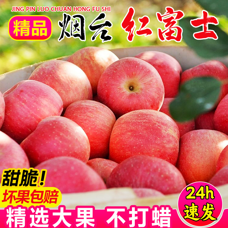【精品】正宗山东烟台红富士苹果水果新鲜脆甜5/10斤冰糖心苹果丑