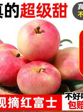 山西红富士苹果9斤新鲜水果应当季整箱丑萍果嘎啦冰糖心苹果包邮5
