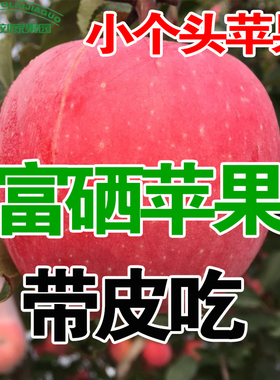烟台红富士栖霞苹果一级果苹果小新鲜水果整箱应季5斤/13斤包邮
