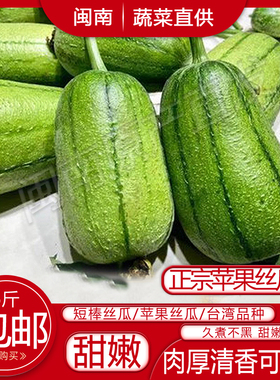 苹果丝瓜新鲜可生吃水果丝瓜福建蔬菜台湾肉丝瓜酒店食材3/5斤