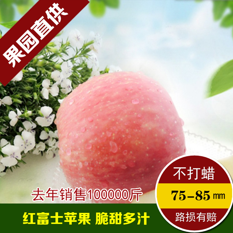 陕西渭北高原红富士苹果新鲜水果原生态脆甜山地平果食品5斤包邮