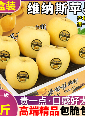 精品礼盒维纳斯黄金苹果5斤山东水果新鲜大果当季时令甜脆丑苹果9
