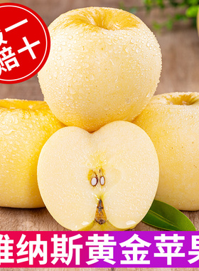 维纳斯黄金苹果5斤山东水果新鲜礼盒当季正宗时令黄胖子甜丑苹果