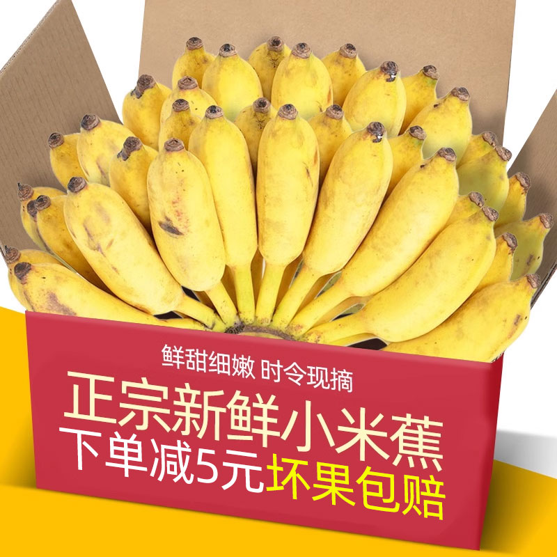现摘广西小米蕉当季新鲜水果5-9斤自然熟banana苹果蕉香蕉粉蕉