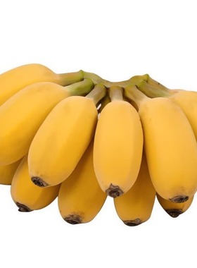 【自然熟】广西苹果蕉 正宗小香蕉苹果粉蕉当季孕妇水果5斤/9