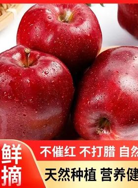 甘肃天水花牛苹果10斤新鲜当季水果整箱红蛇粉面平果脆甜红平安果