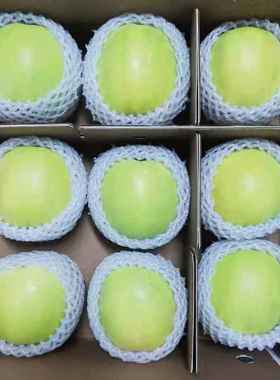 甘肃灵台苹果 75-80mm瑞雪苹果 【9枚礼盒装】平凉金水果约5斤