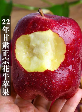 2022 甘肃正宗天水花牛苹果水果5斤新鲜整箱孕妇应季儿童粉面苹果