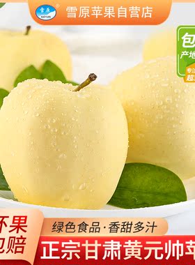 【粉面】甘肃黄元帅苹果黄金帅黄蕉当季新鲜水果5斤/10斤整箱