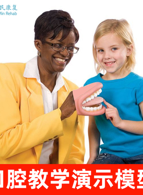 口腔模型教具幼儿园护理学刷牙医学儿童发音教学口肌训练演示范