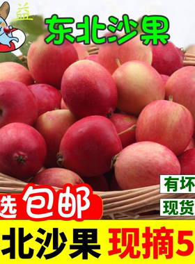 黑龙江特产东北新鲜沙果小苹果水果当季海棠果黄太平整箱5斤包邮