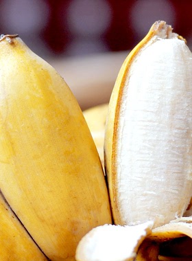 广西新鲜小米蕉香蕉水果现摘现发整箱3斤5斤小香蕉芭蕉苹果蕉