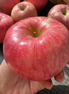 【果客】陕西延安·红富士苹果·5/9斤洛川脆苹果糖心新鲜水果甜