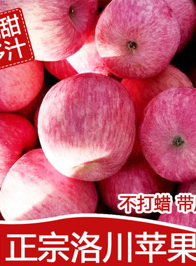 正宗陕西洛川苹果新鲜水果酥脆香甜当季冰糖心丑苹果5/9斤