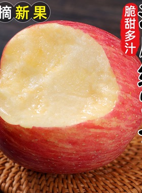 精选陕西洛川苹果5斤新鲜水果红富士包邮脆甜大