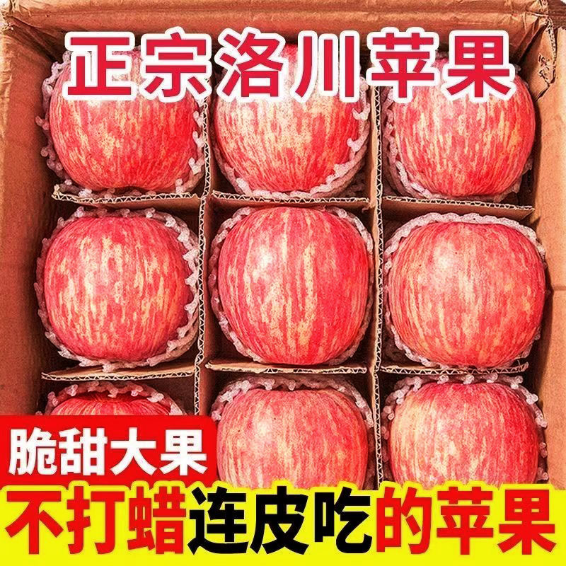 闪淘严选 洛川红富士苹果5斤/9斤 新鲜水果苹果
