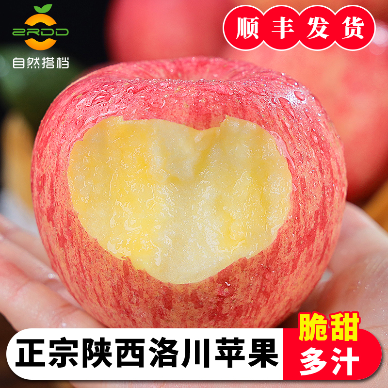 顺丰发货正宗陕西洛川苹果5斤新鲜水果延安红富士苹果自然搭档