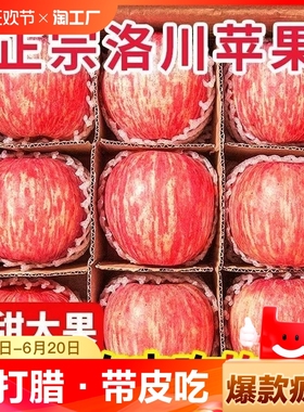 【直播】洛川苹果新鲜水果冰糖心红富士丑苹果5斤/9斤多规格可选