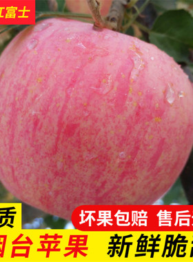 正宗山东烟台苹果栖霞红富士新鲜水果5斤一级品好吃脆甜当季萍果