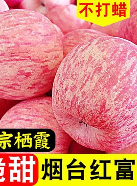 烟台红富士苹果新鲜水果山东栖霞平果助农当季脆甜一级5 9斤包邮