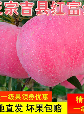 山西特产吉县红富士苹果特级当季新鲜水果非冰糖心孕妇10整箱礼盒