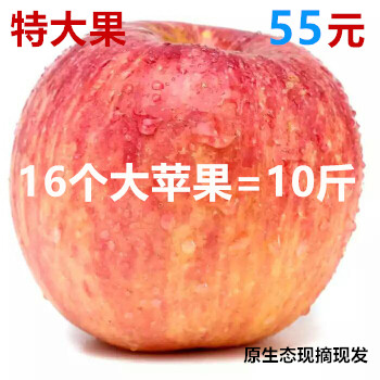 丰县大沙河苹果10斤野生徐州农家农产品孕妇现摘新鲜水果丑红富士