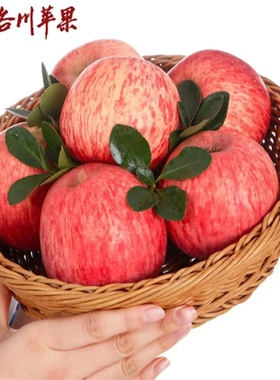 【产地直发】洛川苹果陕西红富士苹果延安特产水果脆甜苹果礼盒