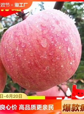 山西丑苹果黄土高坡苹果新鲜水果5斤/6斤红富士冰糖心自然脆甜