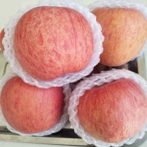 苹果水果新鲜陕西延川苹果10斤一箱陕北土农特产陕西延安当季现货