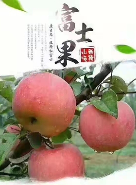 2021正宗运城临猗红富士苹果一级精品冰糖心水果新鲜10斤整箱包邮