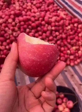正宗山西隰县红富士苹果一级精品5/10斤当季新鲜脆甜水果整箱包邮
