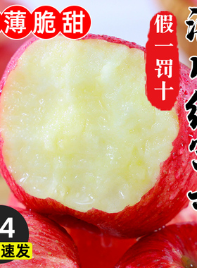 洛川红富士苹果一级10应当季新鲜水果整箱包邮斤陕西冰糖心大果