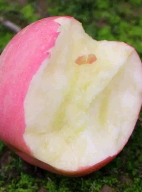 苹果水果新鲜脆甜当季整箱山西吉县红富士10斤带箱一级精品