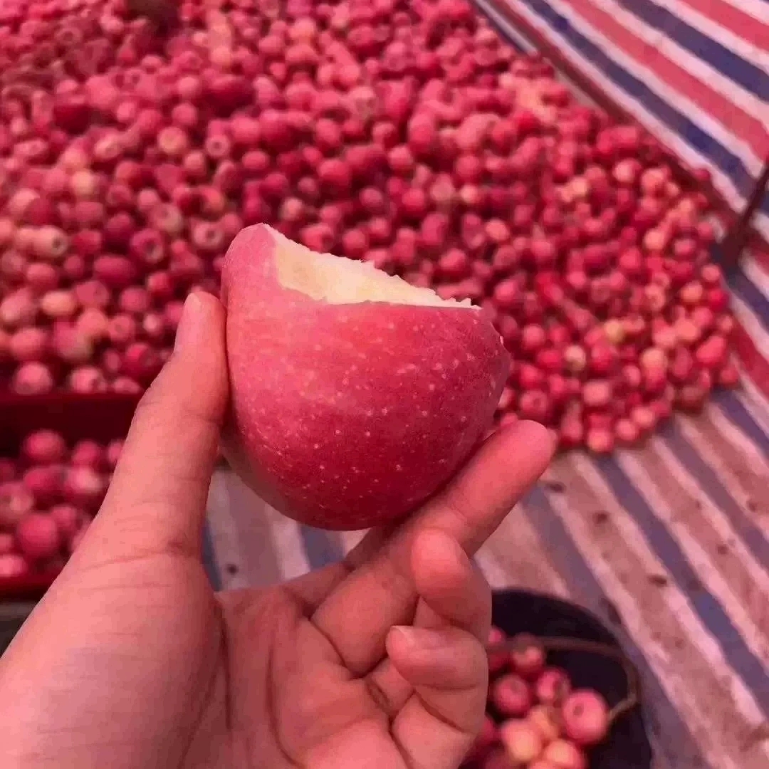 正宗山西隰县红富士苹果一级精品5/10斤当季新鲜脆甜水果整箱包邮