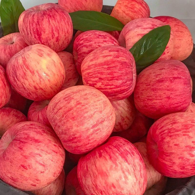 延安红富士苹果水果新鲜丑带箱10洛川十脆甜斤装一级陕西当季整箱