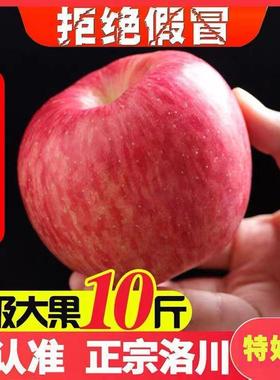 【洛川苹果】陕西正宗洛川红富士苹果新鲜脆甜礼盒水果一箱5斤/10