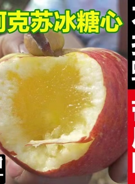 正宗新疆阿克苏冰糖心苹果10斤新鲜水果红富士一级精品大平果