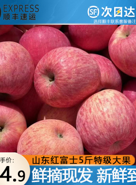 山东红富士新鲜10斤包邮当季水果精品一级高端应季脆甜苹果整箱