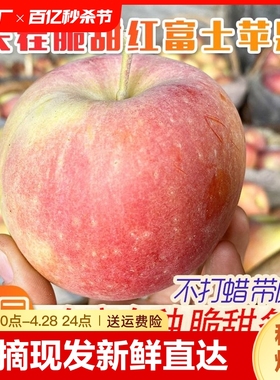 山东冰糖心丑苹果当季新鲜孕妇水果10斤整箱红富士脆甜包邮5一级