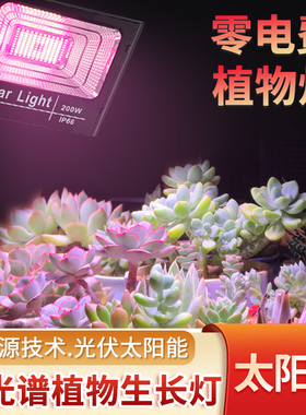 太阳能植物补光生长灯全光谱led多肉上色仿太阳光花卉植物生长灯