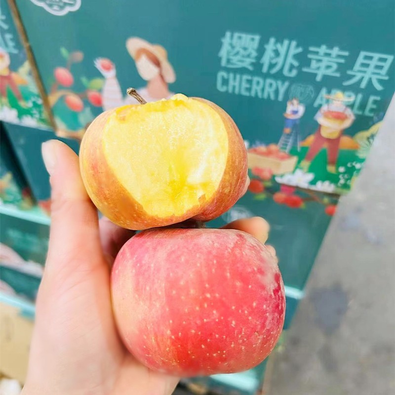 新疆百果汇樱桃苹果礼盒5斤装当季新鲜水果冰糖心小苹果脆甜多汁