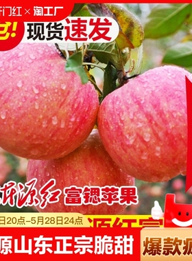沂源红富士苹果山东正宗脆甜中庄5斤装新鲜水果礼盒精品包邮