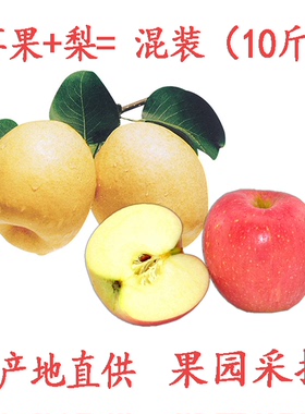 孕妇水果组合新鲜红富士苹果10斤整箱批纯天然砀山酥梨混装当季