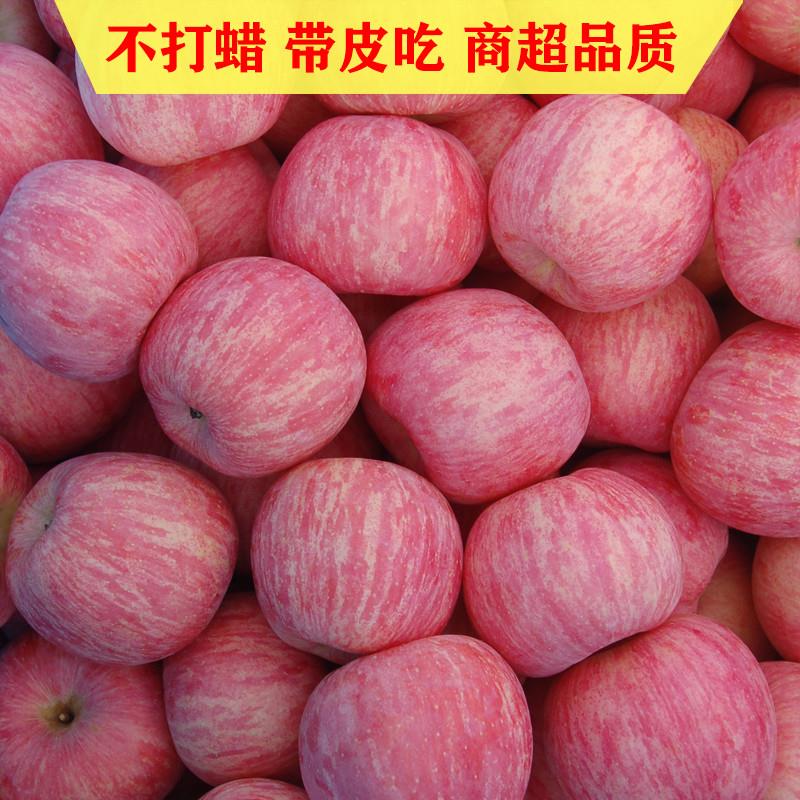山东烟台栖霞红富士苹果水果新鲜当季脆甜精品10斤批大果整箱吃的
