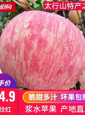 新鲜水果河北邢台浆水苹果红富士整箱农家应季水果5斤装脆甜苹果