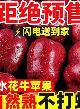 天水花牛苹果10/5/3斤新鲜应季甘肃平安果宝宝刮泥苹果水果