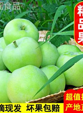 山西青苹果新鲜水果现摘现发应季酸甜多汁小绿平果3/5/9斤整箱
