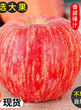 山西红富士苹果新鲜水果10斤应当季冰糖心丑苹果整箱脆甜嘎啦包邮