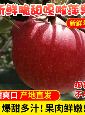四川攀枝花嘎啦果苹果当季新鲜水果红富士冰糖心加力平果10斤包邮